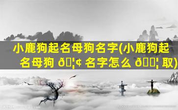 小鹿狗起名母狗名字(小鹿狗起名母狗 🦢 名字怎么 🐦 取)